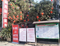 疫情无情人有情，我为抗疫做贡献！
